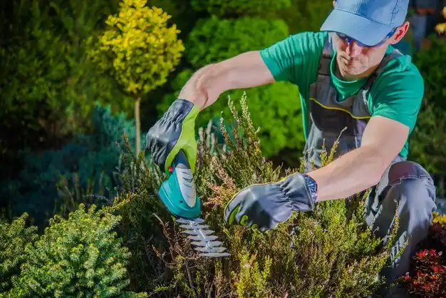 landscaping services South Dayton